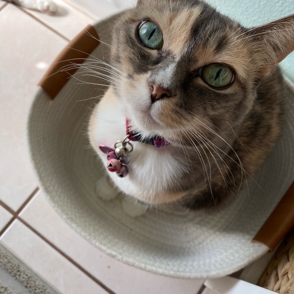 Meet your Posher, Michele - Picture 12 of 16